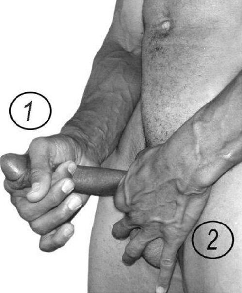 Pour augmenter un membre pour augmenter